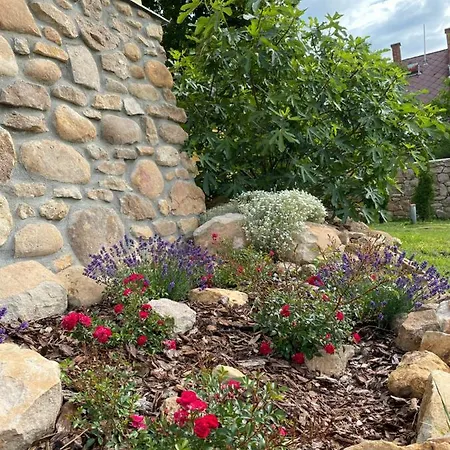 Polyak Vilă Révfülöp