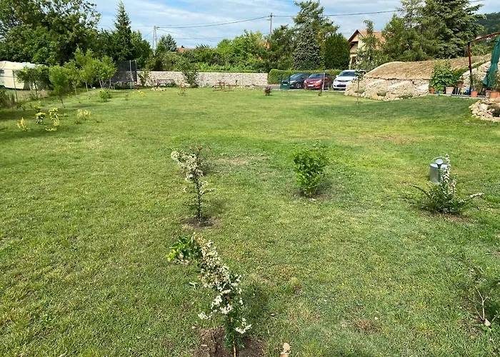 Polyak Ревфюлёп